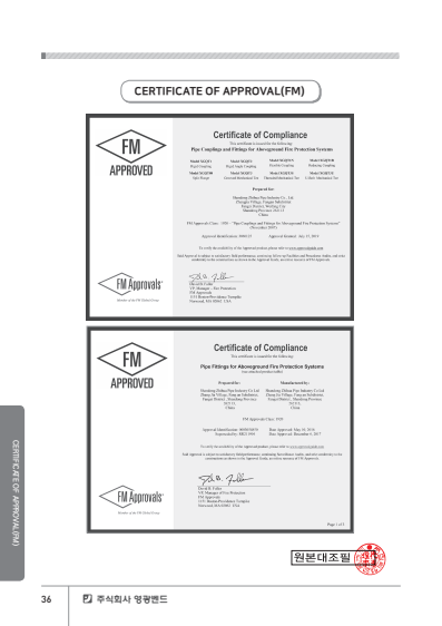 FM������